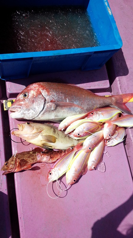 ���i�C���[�W