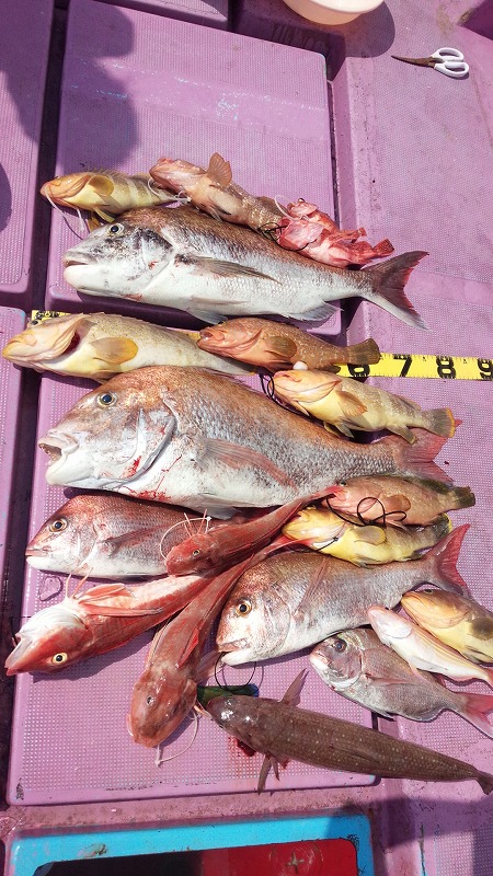 ���i�C���[�W