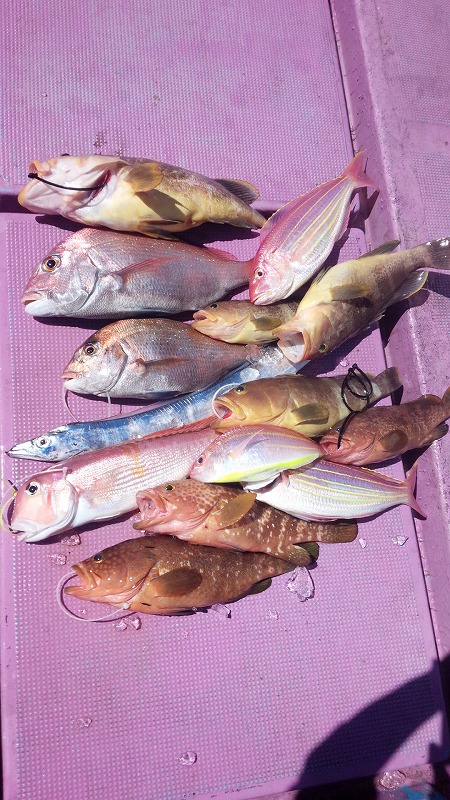 ���i�C���[�W