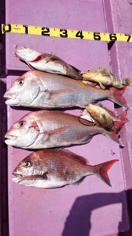 ���i�C���[�W