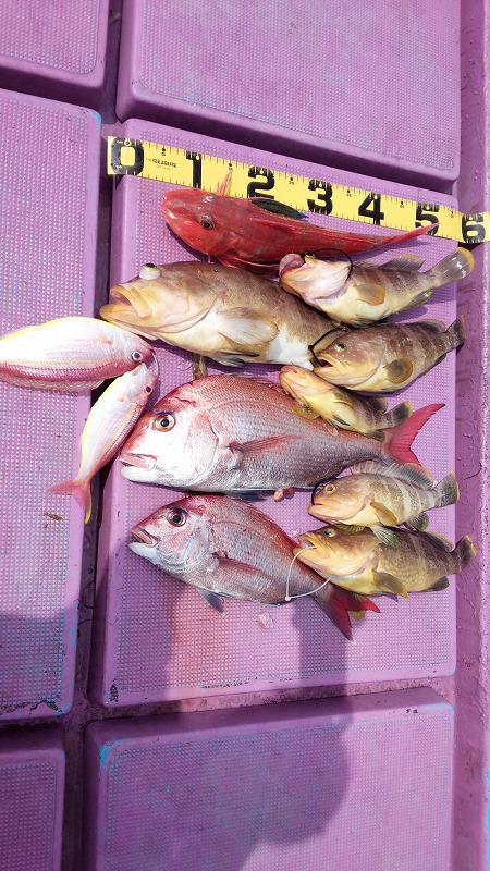 ���i�C���[�W