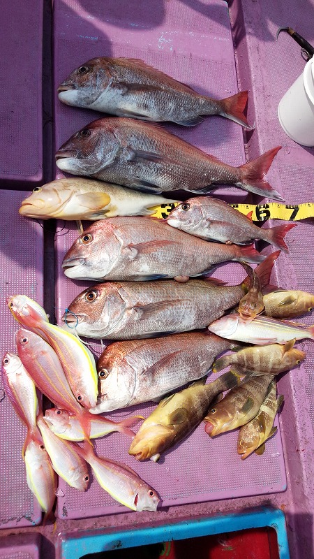 ���i�C���[�W