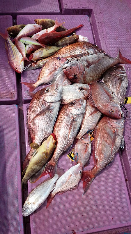 ���i�C���[�W