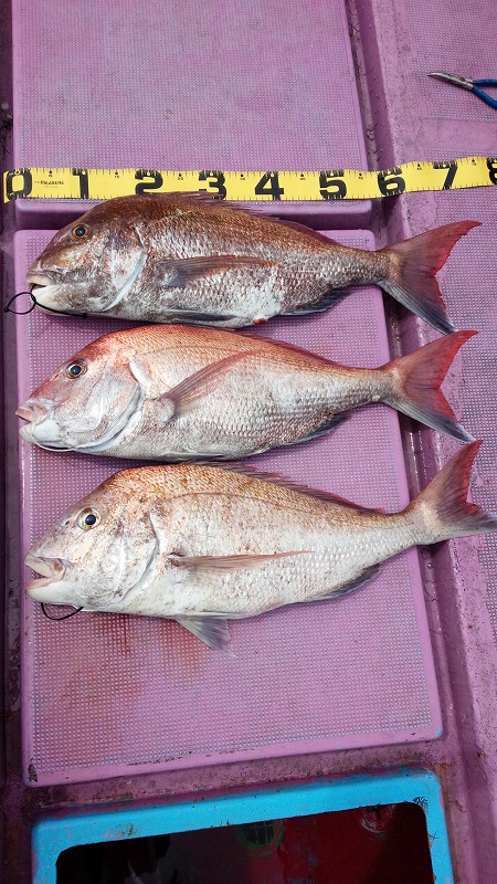 ���i�C���[�W