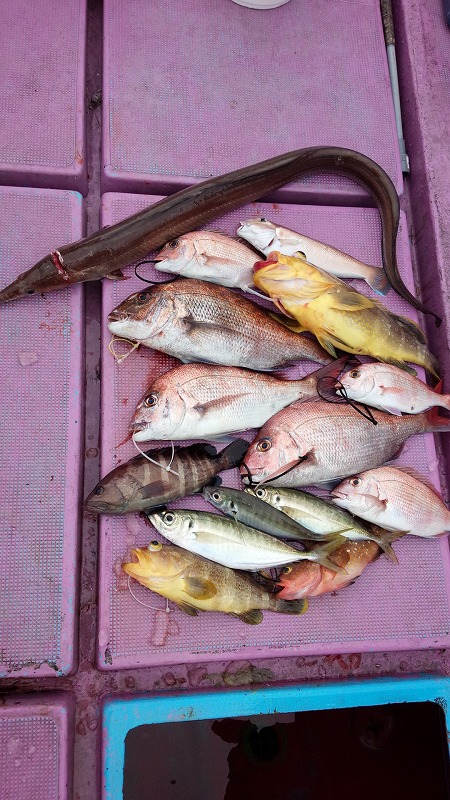 ���i�C���[�W