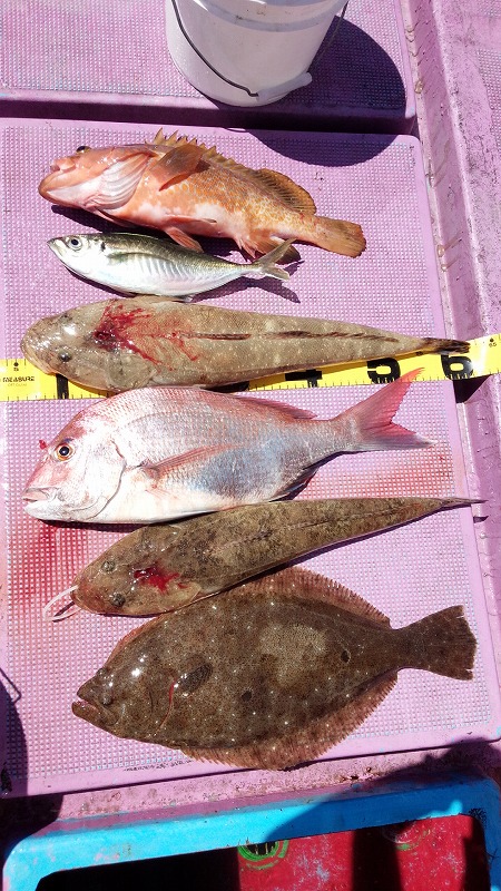 ���i�C���[�W