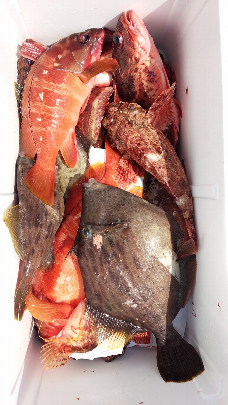 ���i�C���[�W