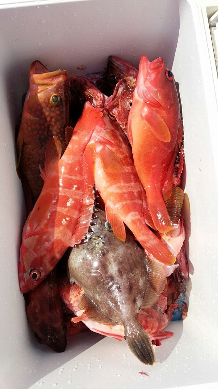 ���i�C���[�W