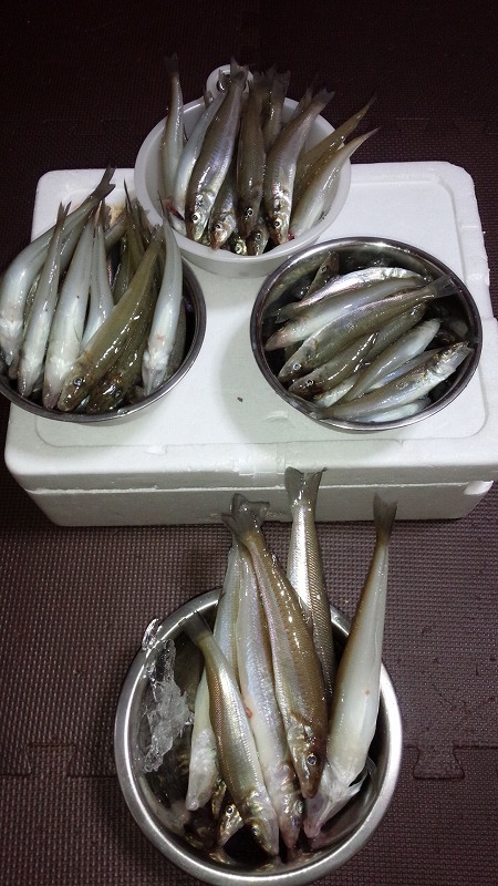 ���i�C���[�W