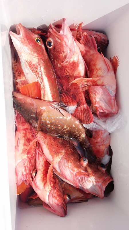 ���i�C���[�W