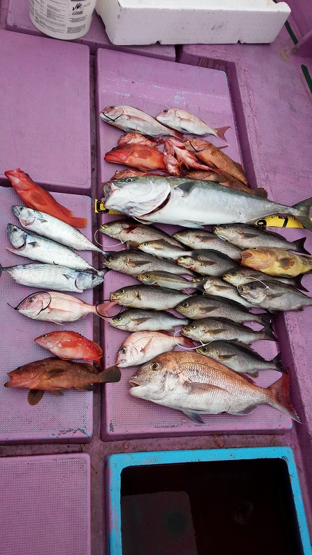 ���i�C���[�W