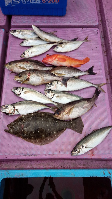 ���i�C���[�W