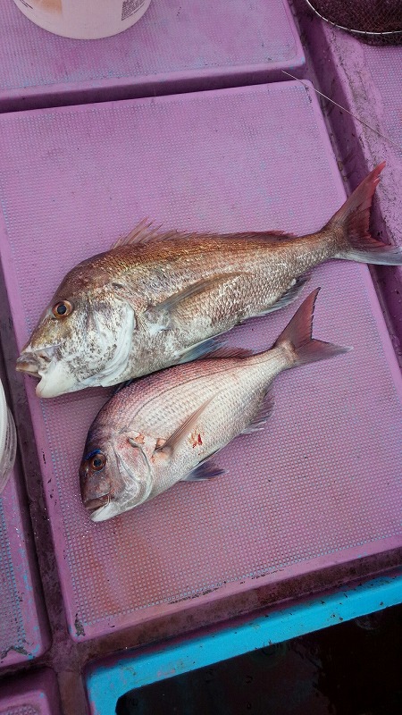 ���i�C���[�W