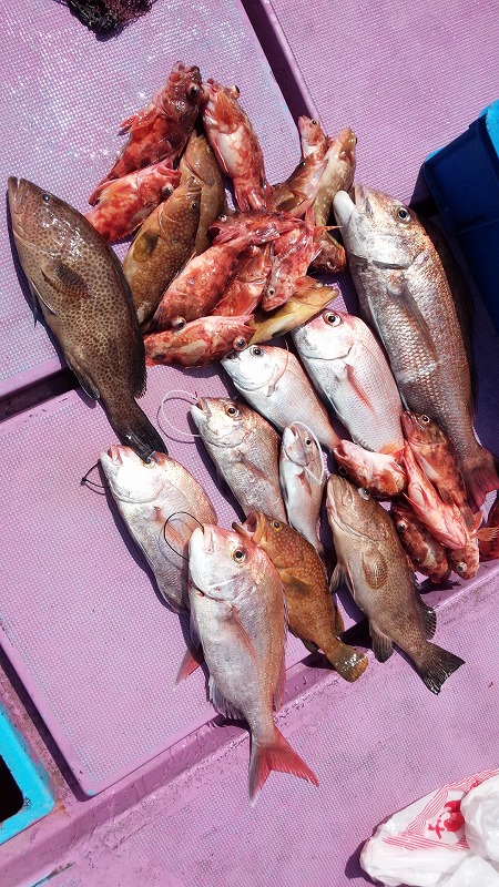 ���i�C���[�W