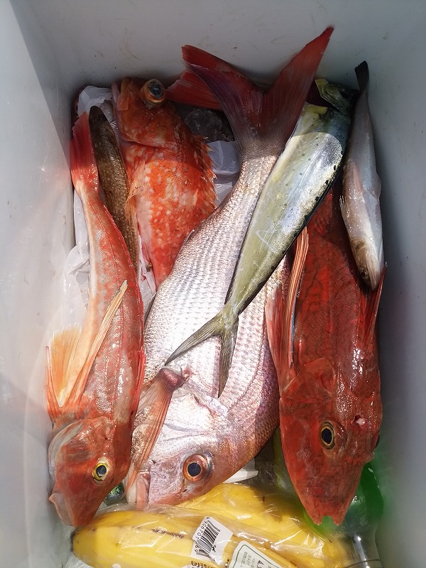 ���i�C���[�W