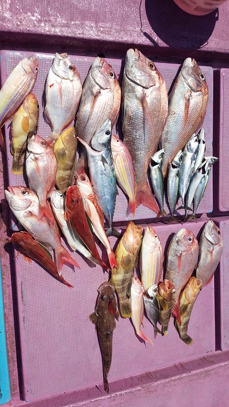 ���i�C���[�W