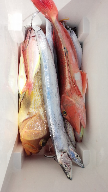 ���i�C���[�W