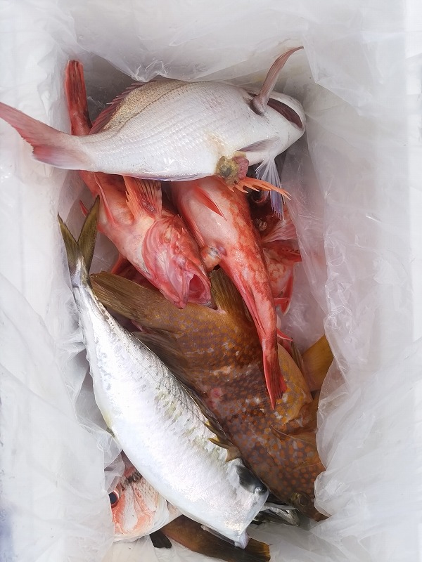 ���i�C���[�W