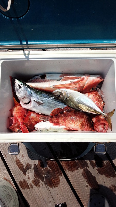 ���i�C���[�W