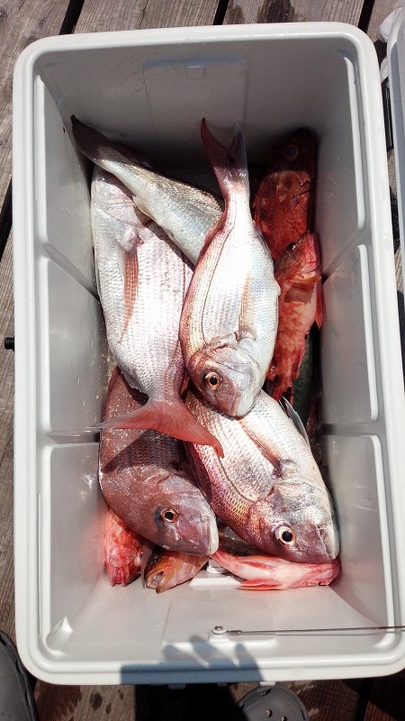 ���i�C���[�W