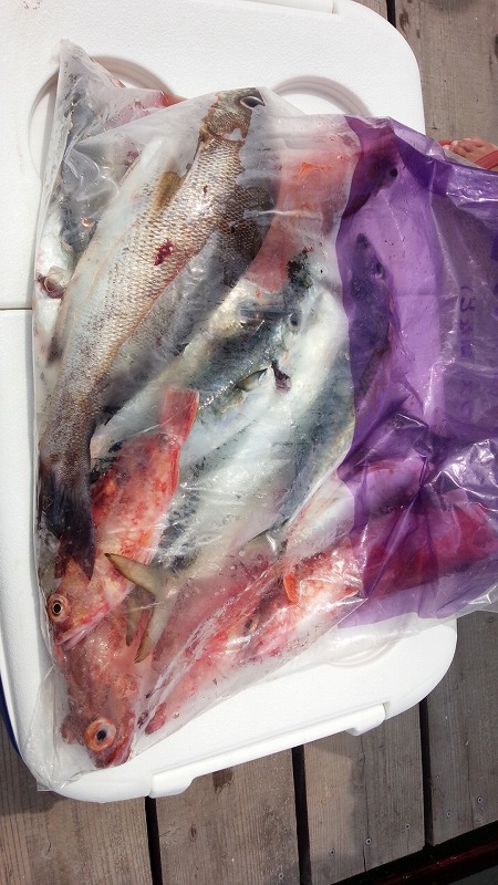 ���i�C���[�W