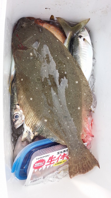 ���i�C���[�W