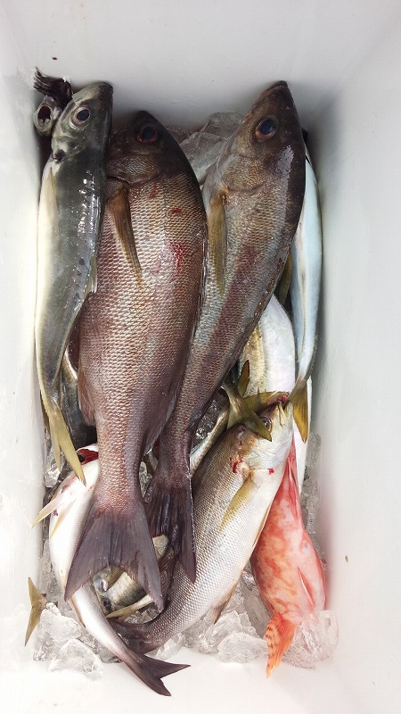 ���i�C���[�W