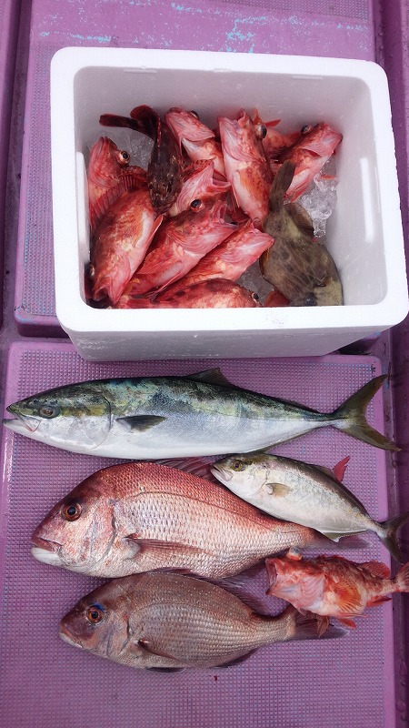 ���i�C���[�W