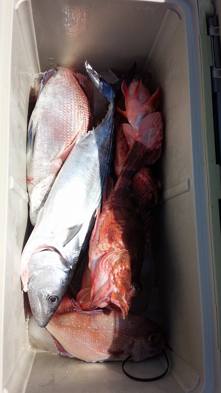 ���i�C���[�W