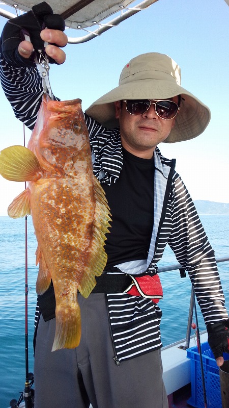 ���i�C���[�W