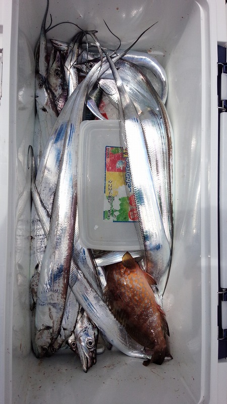 ���i�C���[�W