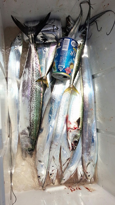 ���i�C���[�W