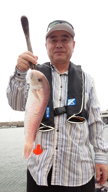 ���i�C���[�W