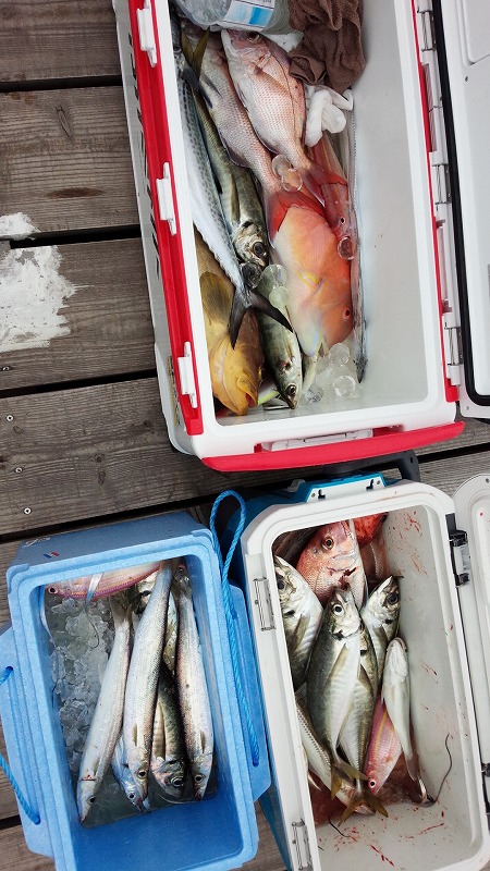 ���i�C���[�W