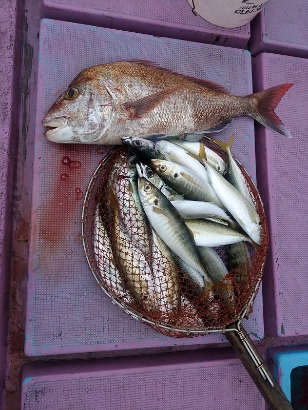 ���i�C���[�W