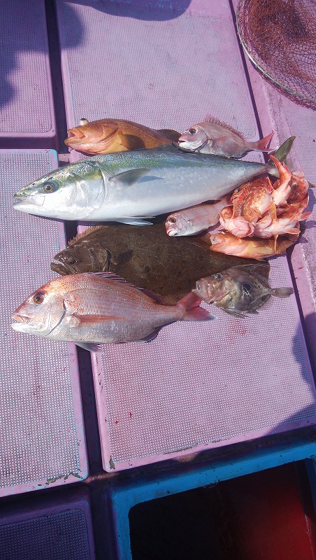 ���i�C���[�W