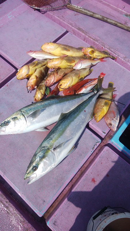 ���i�C���[�W