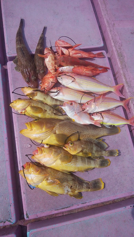 ���i�C���[�W