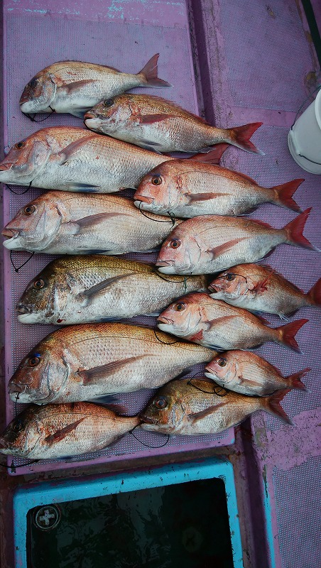 ���i�C���[�W