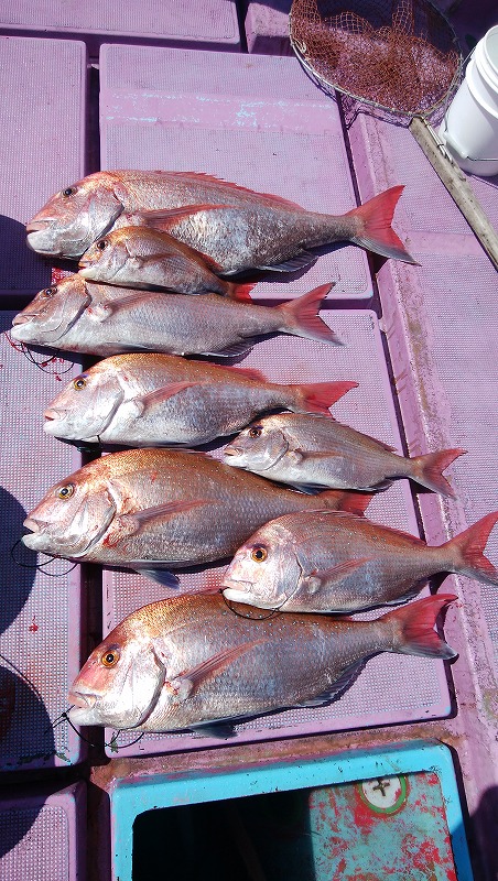 ���i�C���[�W