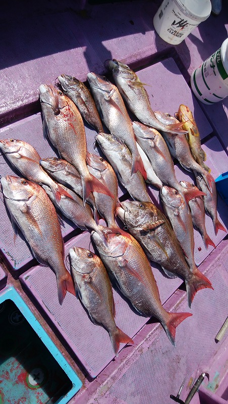 ���i�C���[�W