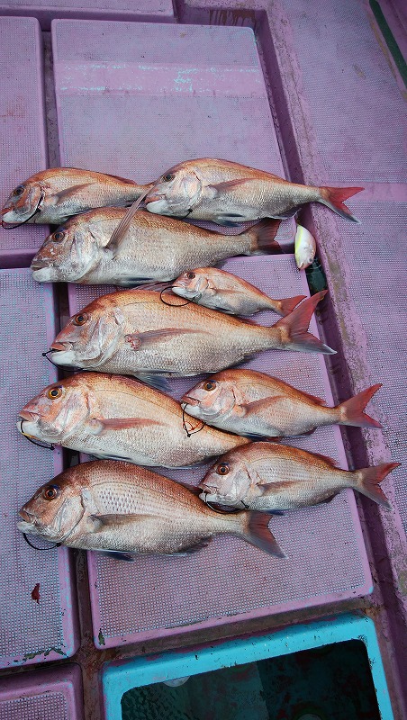 ���i�C���[�W