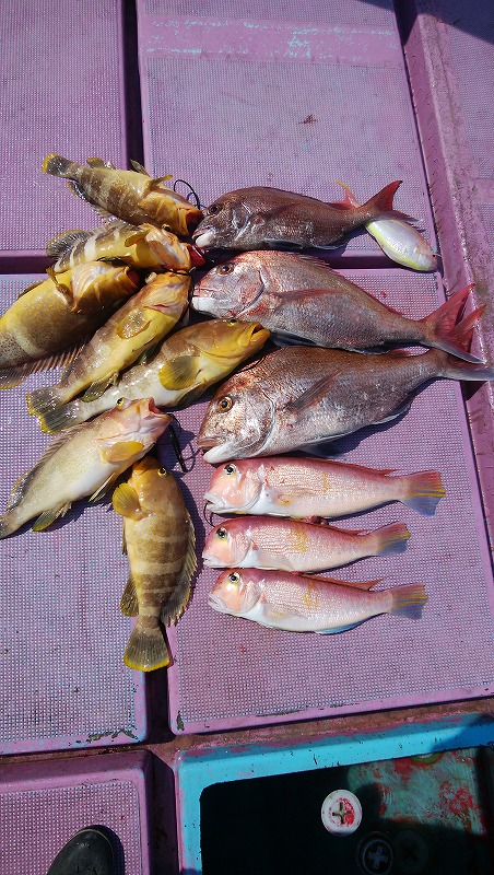 ���i�C���[�W