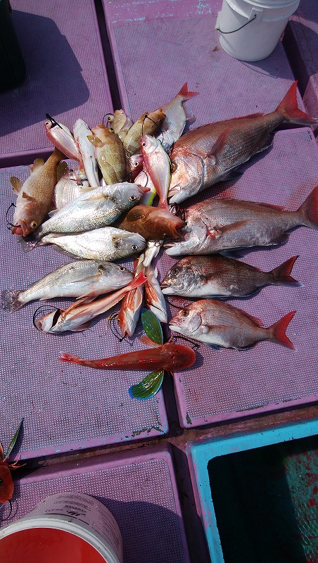 ���i�C���[�W