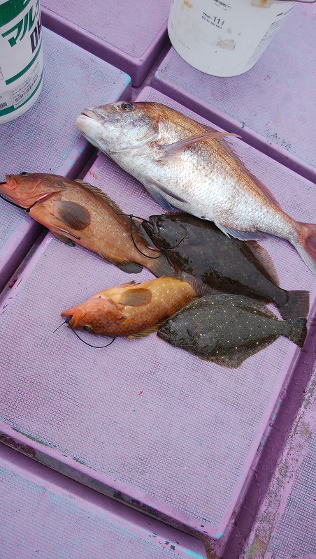 ���i�C���[�W