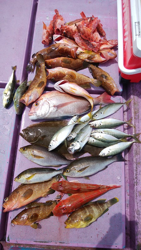 ���i�C���[�W