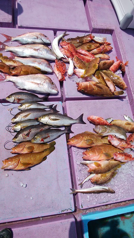 ���i�C���[�W