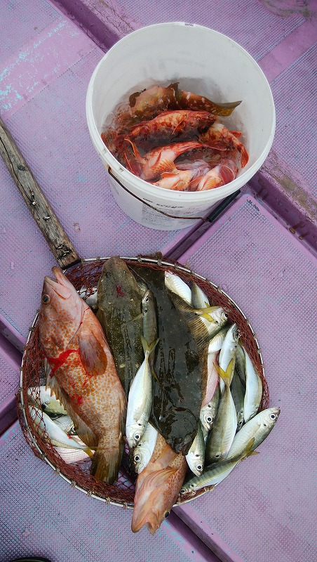 ���i�C���[�W