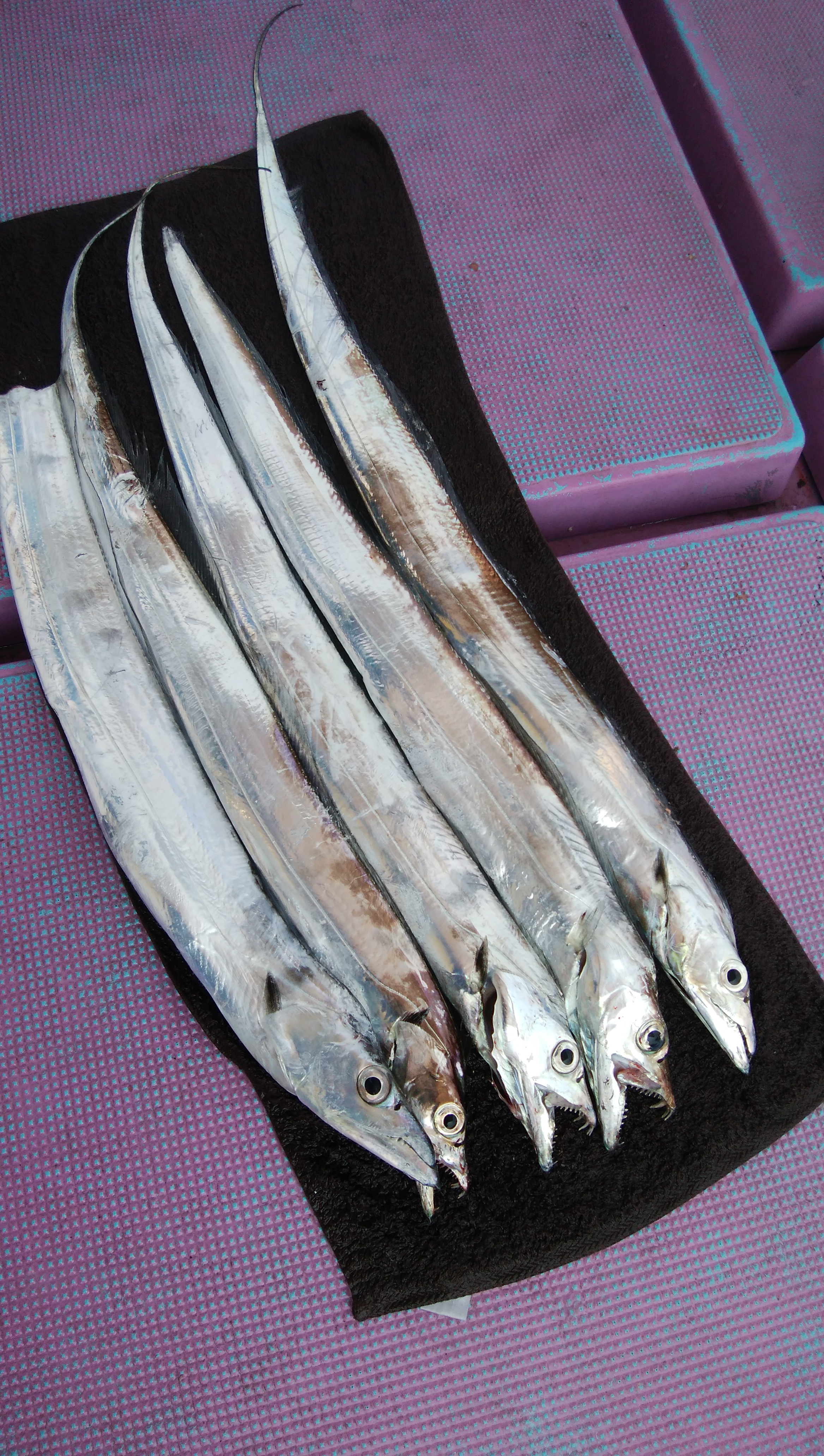 ���i�C���[�W