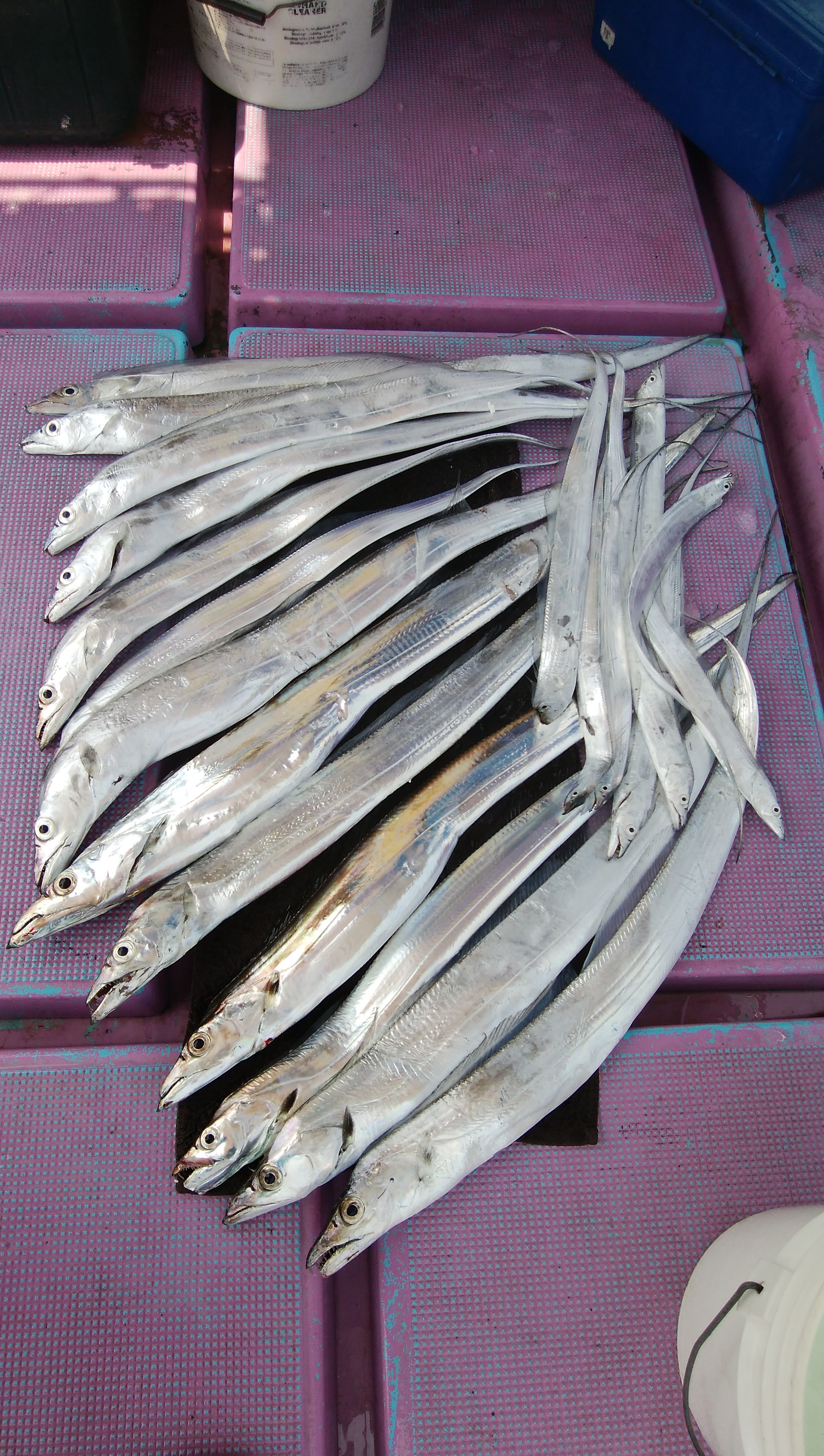 ���i�C���[�W